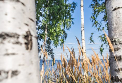 Visit_Tampere_Nature_Hiedanranta_Näsijärvi_lake_Laura_Vanzo-3